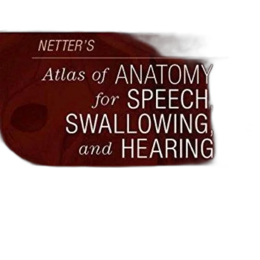 netter, atlas, anatomy, speech transparent PNG cut-out