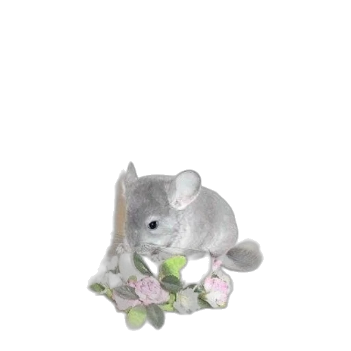 animal, creature, flower, jewelry transparent PNG cut-out