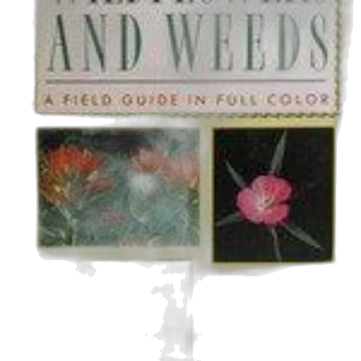 book, cover, title, wildflowers transparent PNG cut-out