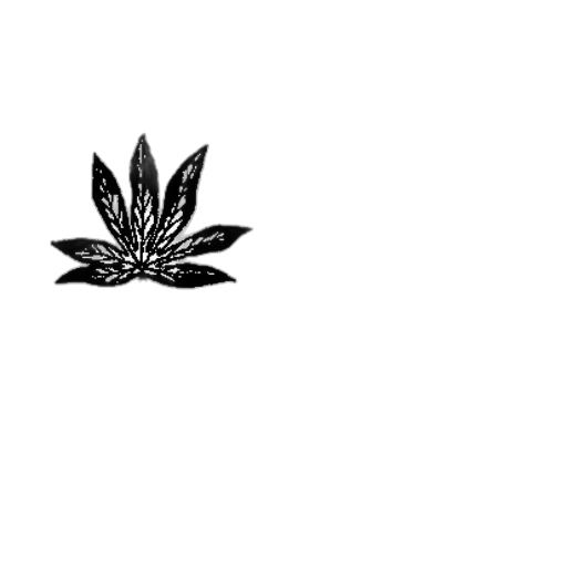 crown, flower, hat, dragon transparent PNG cut-out