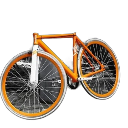 3d render, photorealistic, concept art, vibrant transparent PNG cut-out