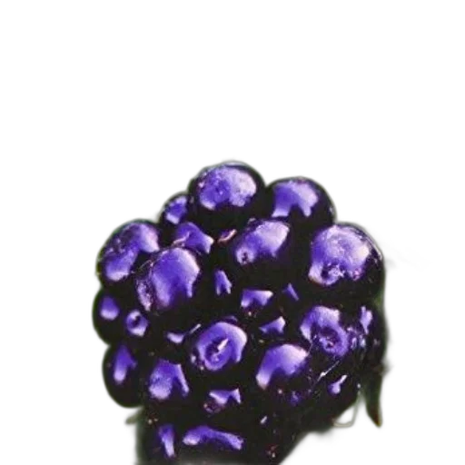 crown, jewelry, flower, food transparent PNG cut-out
