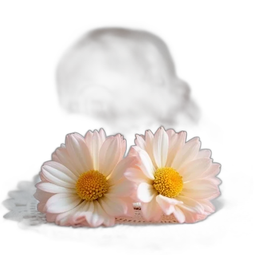 flower, crown, face, jewelry transparent PNG cut-out