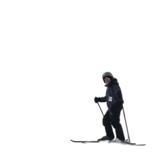 staff, sword, weapon, creature transparent PNG cut-out