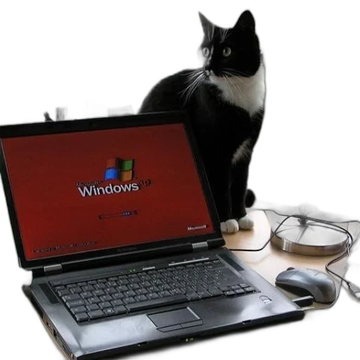 staff, animal, black, white transparent PNG cut-out