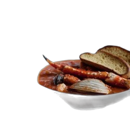 food, animal, hat, creature transparent PNG cut-out