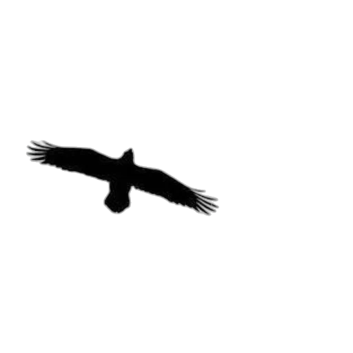 animal, creature, dragon, staff transparent PNG cut-out