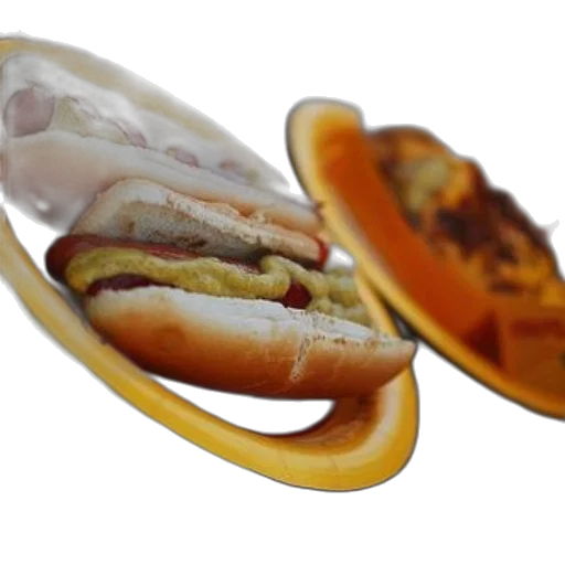 food, animal, shoes, creature transparent PNG cut-out