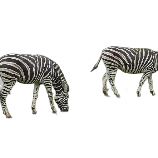 animal, creature, furniture, jewelry transparent PNG cut-out