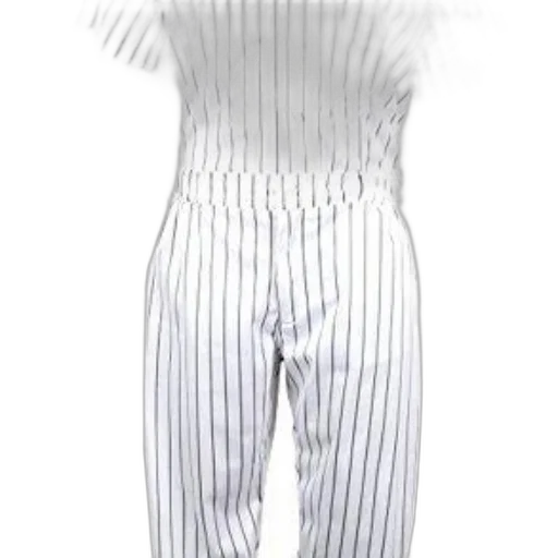 dress, jacket, staff, hair transparent PNG cut-out