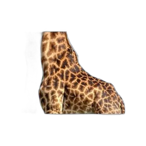 shoes, animal, hat, creature transparent PNG cut-out