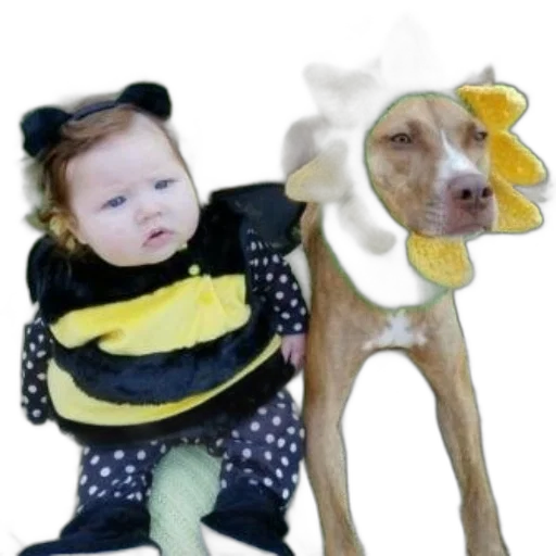 animal, creature, flower, mask transparent PNG cut-out