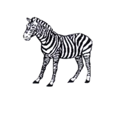 animal, creature, staff, furniture transparent PNG cut-out
