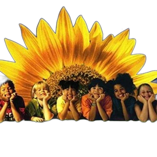 flower, crown, mask, concept art transparent PNG cut-out