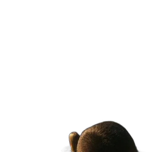 staff, face, hair, mask transparent PNG cut-out