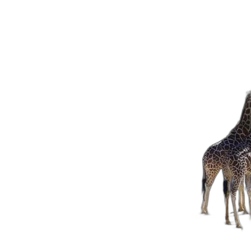 animal, creature, crown, staff transparent PNG cut-out
