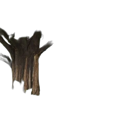 hair, tree, crown, furniture transparent PNG cut-out