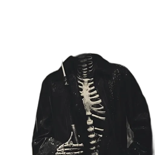 jacket, dress, mask, creature transparent PNG cut-out