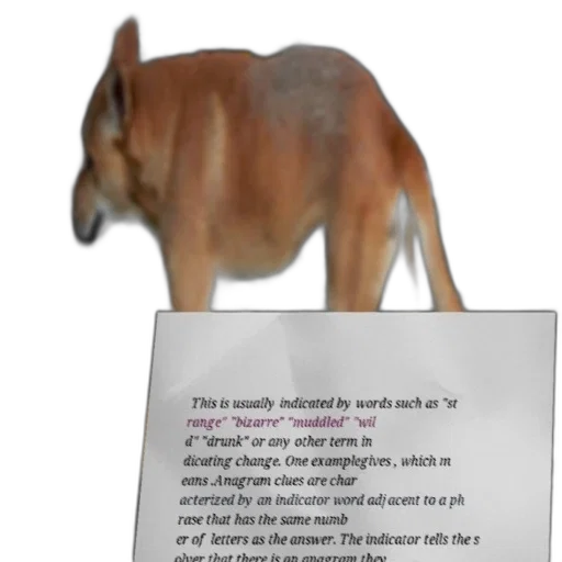 animal, creature, staff, hat transparent PNG cut-out