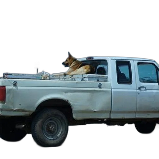 animal, car, weapon, staff transparent PNG cut-out
