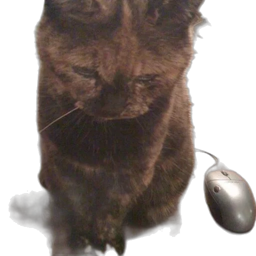 animal, staff, creature, jewelry transparent PNG cut-out