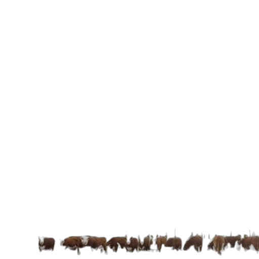 furniture, animal, hair, staff transparent PNG cut-out