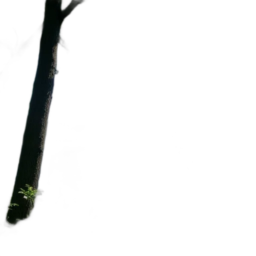 tree, staff, sword, umbrella transparent PNG cut-out