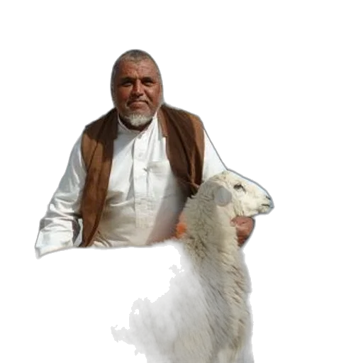 animal, staff, creature, jacket transparent PNG cut-out