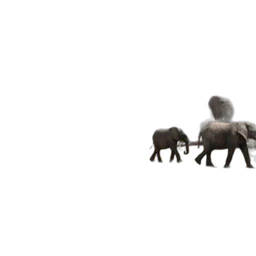 animal, creature, furniture, robot transparent PNG cut-out