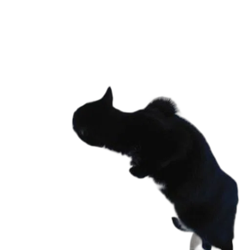 animal, staff, creature, dragon transparent PNG cut-out