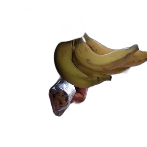 food, shoes, staff, animal transparent PNG cut-out
