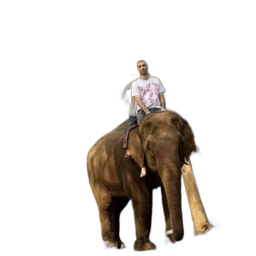 animal, creature, staff, concept art transparent PNG cut-out