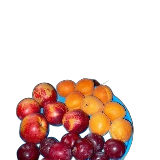 food, crown, jewelry, tree transparent PNG cut-out