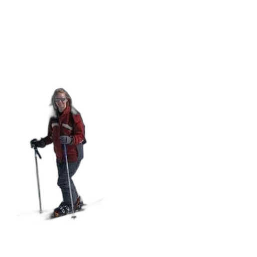 staff, robot, animal, creature transparent PNG cut-out