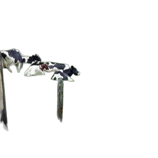 jewelry, crown, flower, furniture transparent PNG cut-out