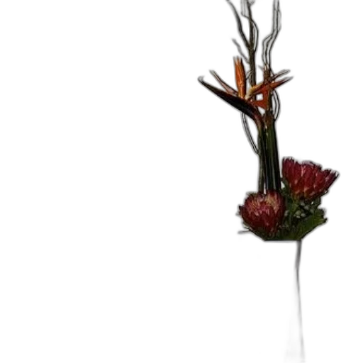 flower, crown, staff, jewelry transparent PNG cut-out