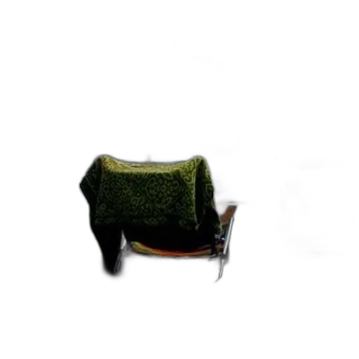 animal, shoes, furniture, creature transparent PNG cut-out