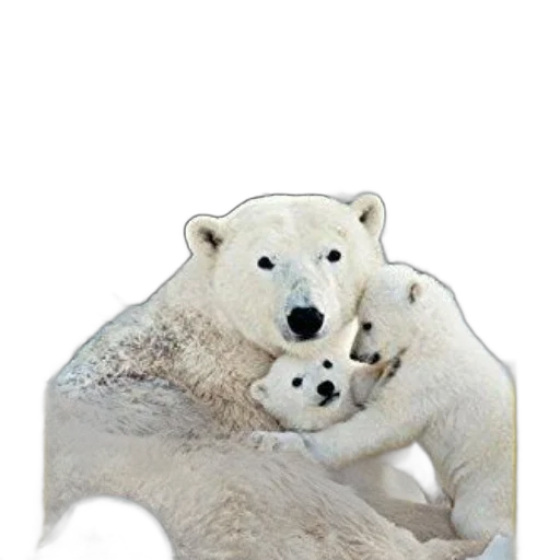 animal, creature, jewelry, staff transparent PNG cut-out
