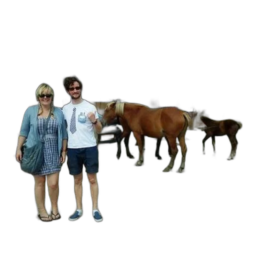 animal, creature, staff, furniture transparent PNG cut-out