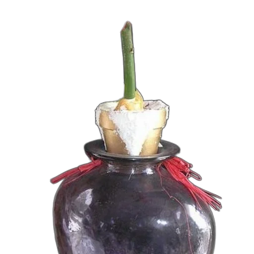 crown, staff, bottle, jewelry transparent PNG cut-out