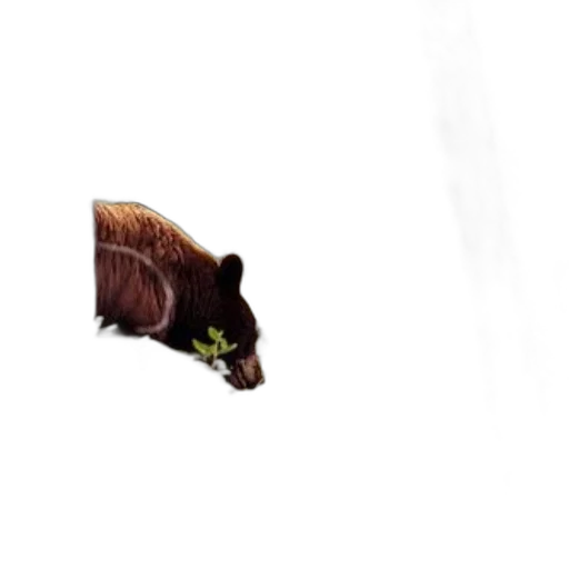 animal, creature, hair, staff transparent PNG cut-out