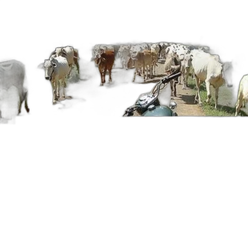 animal, concept art, 3d render, photorealistic transparent PNG cut-out