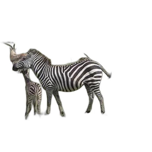 animal, creature, jewelry, staff transparent PNG cut-out