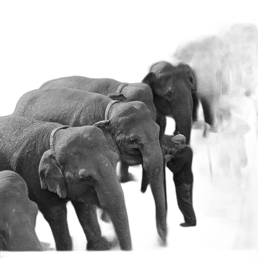 animal, concept art, photorealistic, 3d render transparent PNG cut-out