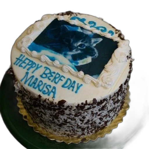birthday, cake, kitten, says transparent PNG cut-out