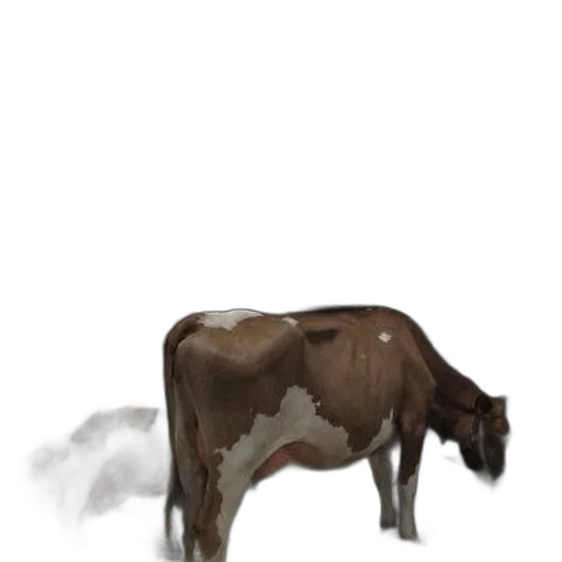 animal, creature, staff, weapon transparent PNG cut-out
