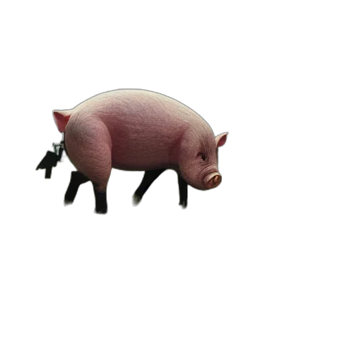 animal, creature, food, weapon transparent PNG cut-out