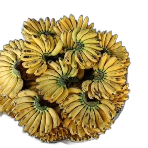 crown, flower, jewelry, food transparent PNG cut-out