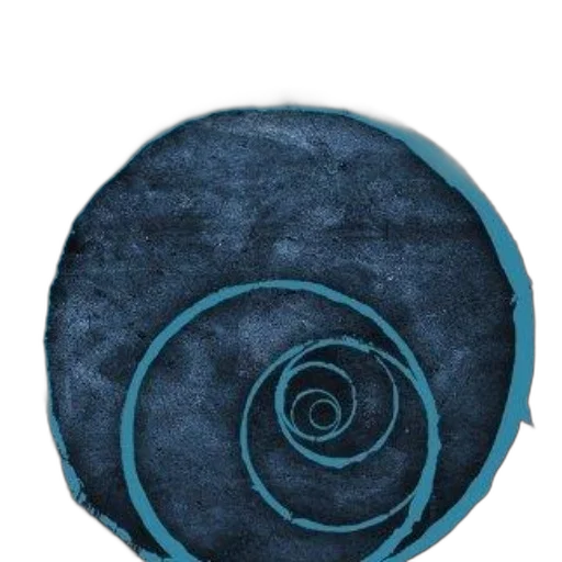hat, umbrella, flower, jacket transparent PNG cut-out