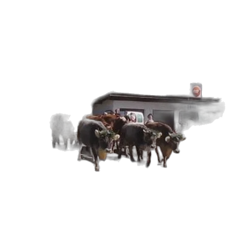 car, animal, staff, furniture transparent PNG cut-out